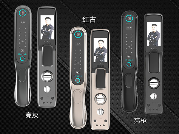 保时捷9号刷脸款    4888元